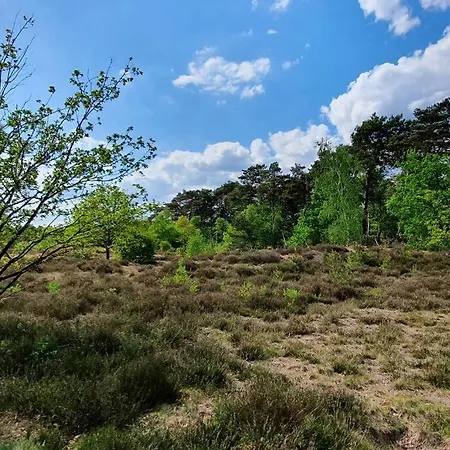 G5 - Recreation Only Doornspijk