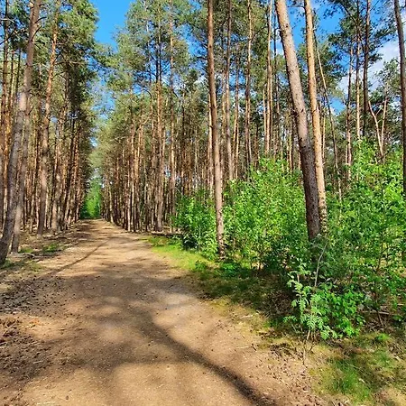 G5 - Recreation Only * Doornspijk