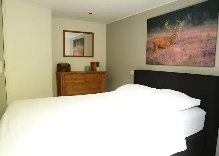 Apartamento G5 - Recreation Only