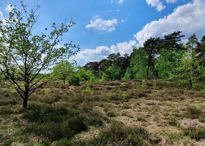 G5 - Recreation Only Doornspijk