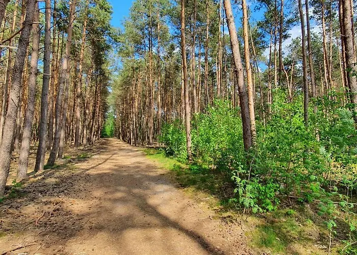 G5 - Recreation Only * Doornspijk